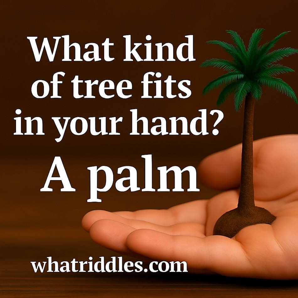 What tree fits in your hand riddle